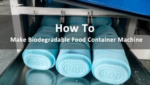 how to make biodegradable food container