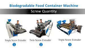 eco food container machine types